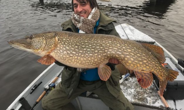 Groots water, grote vissen – Mannen van Eer