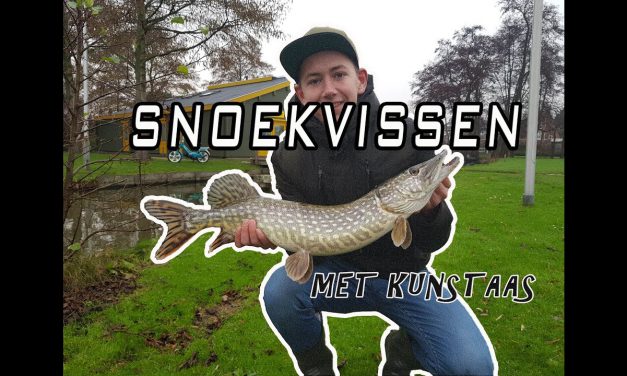 Wedstrijdje snoekvissen – DwFishingTeam