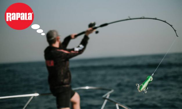 Droombaan bij RAPALA, VMC & STORM