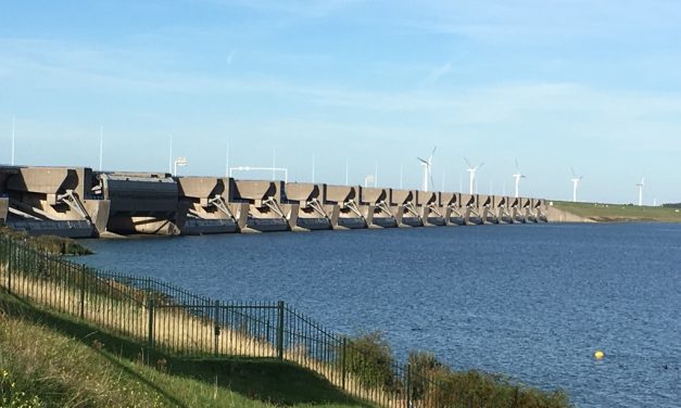 Geen beroepsvisserij meer in het Haringvliet?