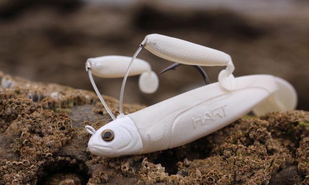 Noviteiten uit ’t HART – Triple shad en slag(belly)boot