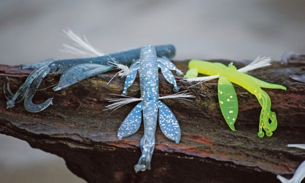 Creature baits VS shads – Wetenschappelijk onderzoek