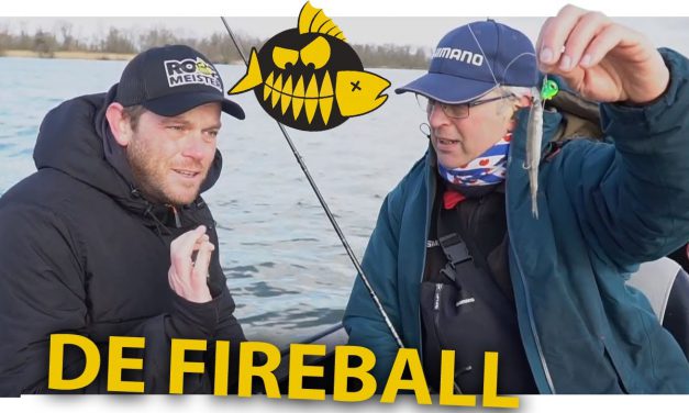 How to: Zo vis je op snoekbaars met de fireball