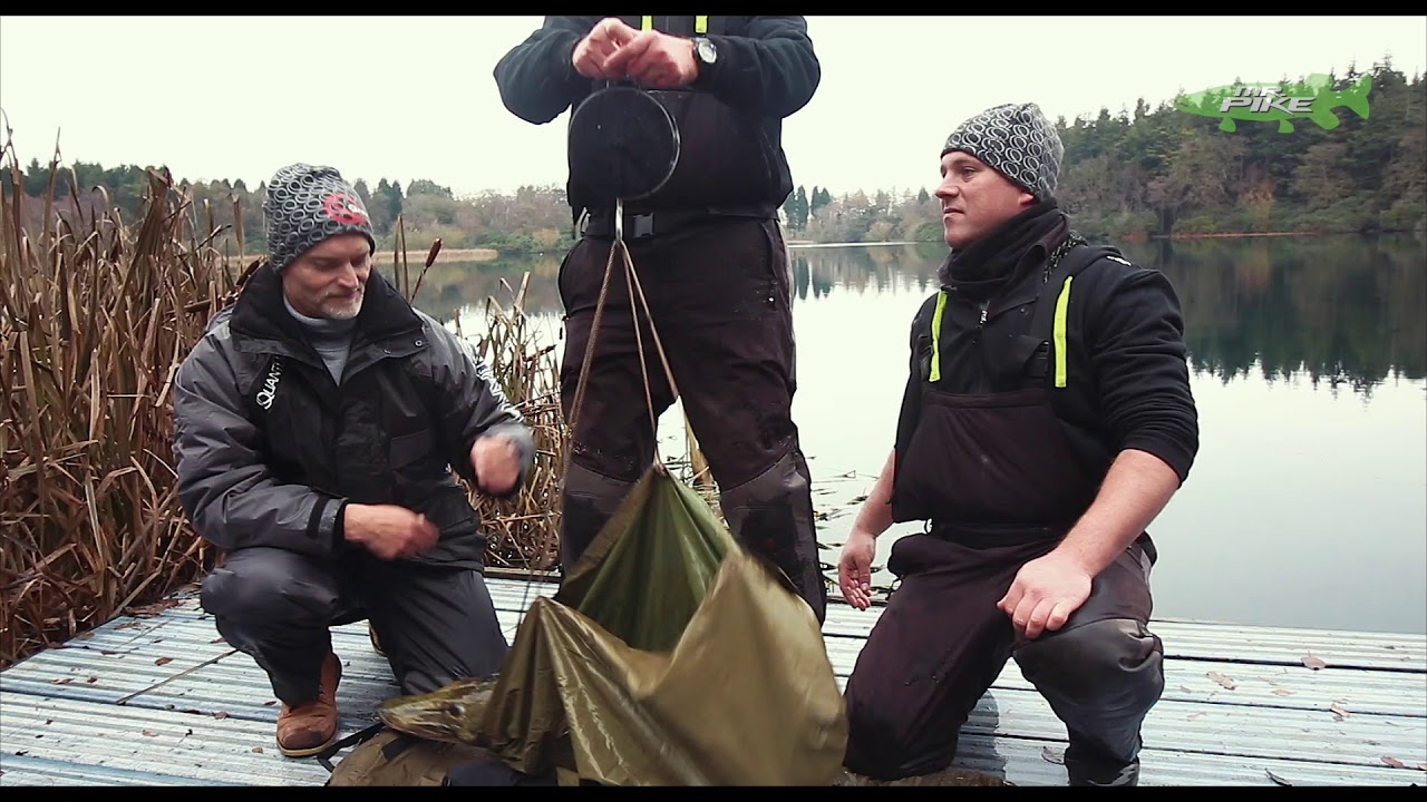 Engelse dood aaspuristen – Mr. Pike