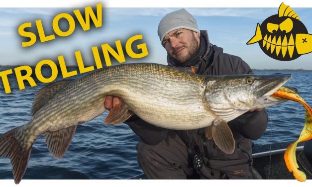 Slow trolling op moddervette wintersnoek – SEAN WIT