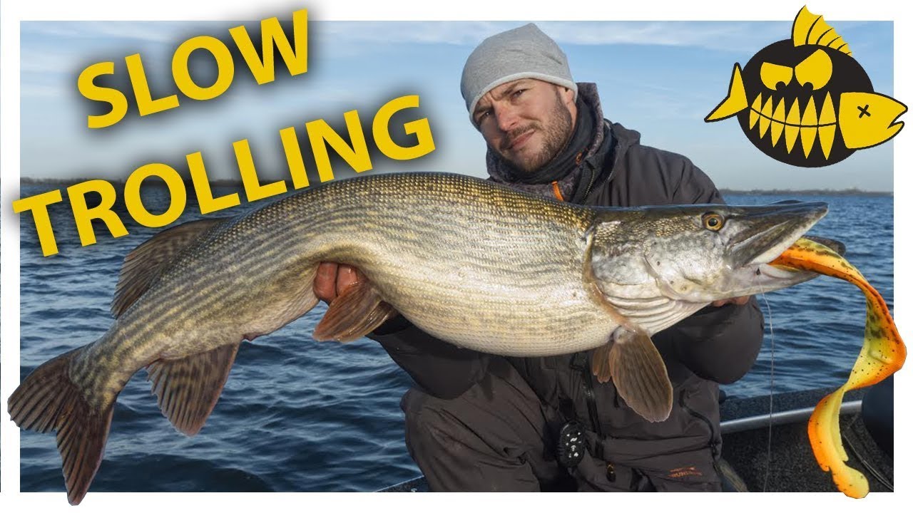 Slow trolling op moddervette wintersnoek – SEAN WIT