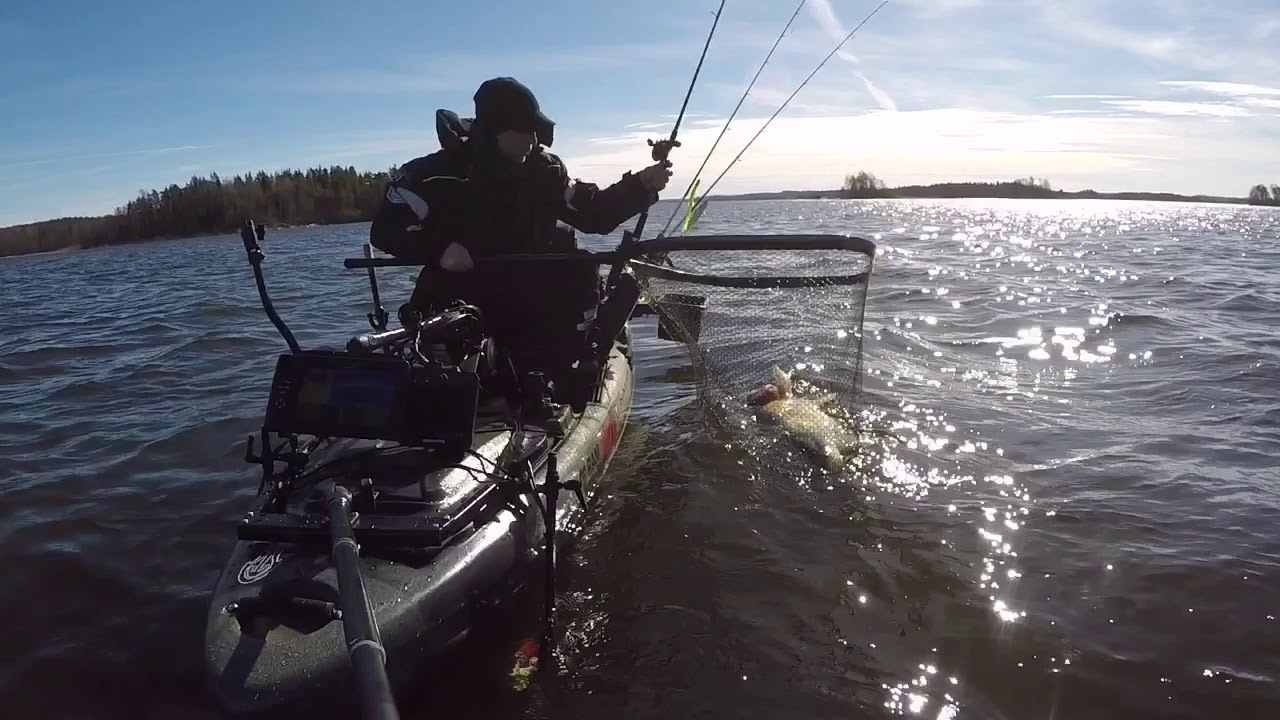 Snoekbaars van 11 kilo – Past niet in netje :-P