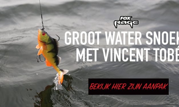 Tips voor snoek op groot water – Vincent Tobé