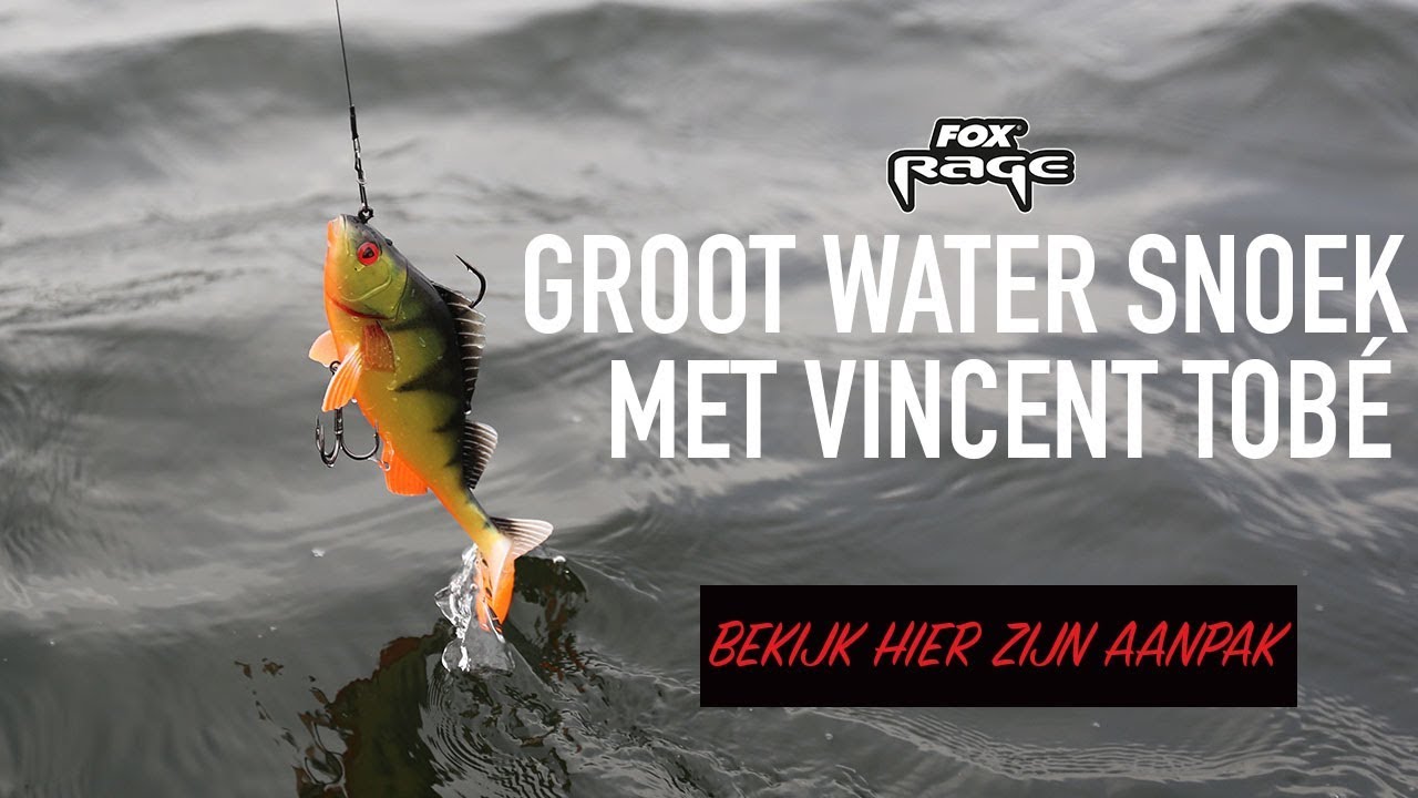 Tips voor snoek op groot water – Vincent Tobé