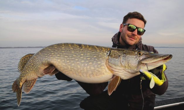 ***VIDEO*** Zo vis je de laatste dagen van het seizoen op snoek – SEAN WIT