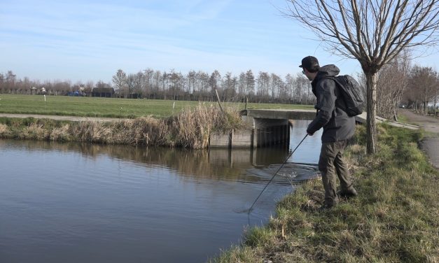 Poldertricks – Meer snoek met skippen – met Simon Torenbeek