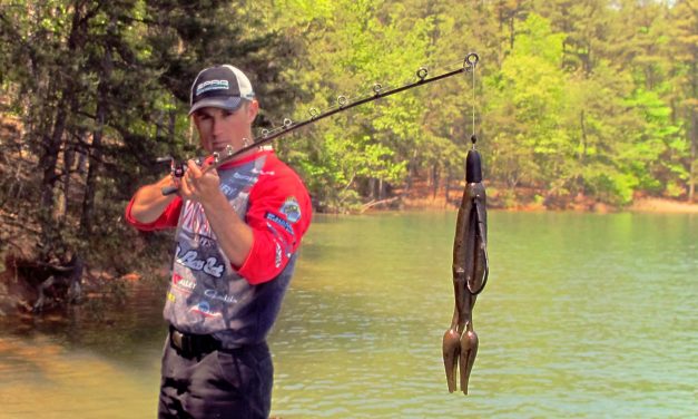 Haute cuisine voor de softbait freaks – Missile Baits