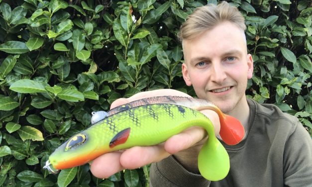 Tackle Meister review – Shad met welvaartsbuikje