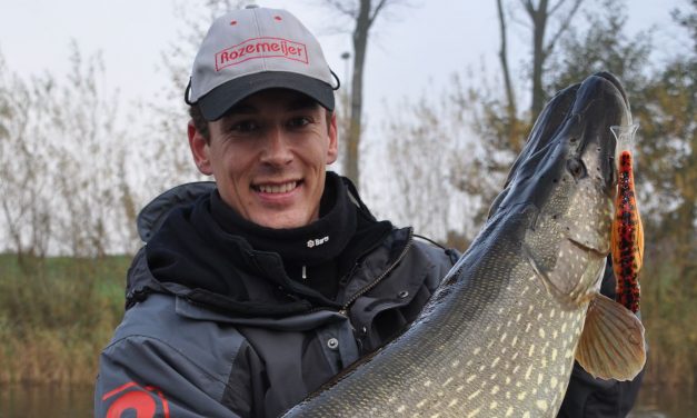 5 topjerkbaits voor beginners – Sander Spaans