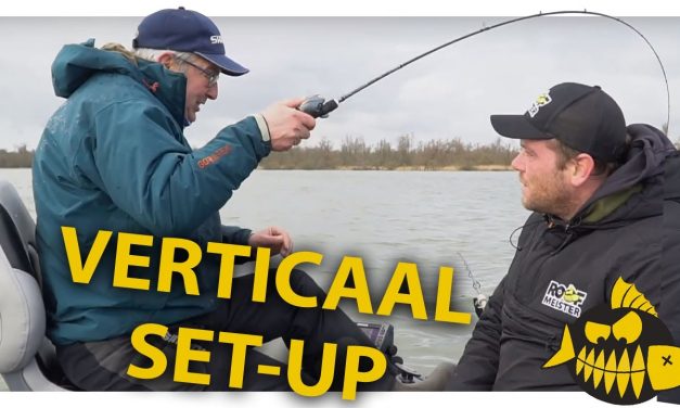 Snoekbaarscrack over de verticaalhengel