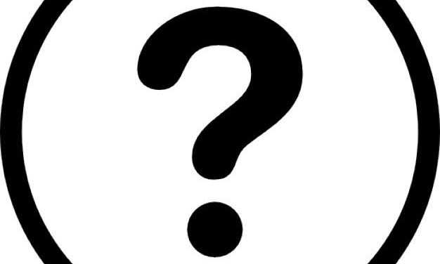 Mystery guest bij Rozemeijer