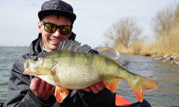 ***VIDEO*** Maximale mobiliteit met de bellyboat –  Simon Torenbeek