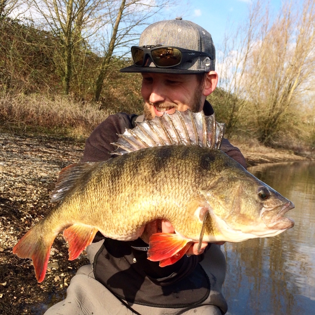 Tackle Meister Review – Zman TRD Crawz – Hubba Bubba shads