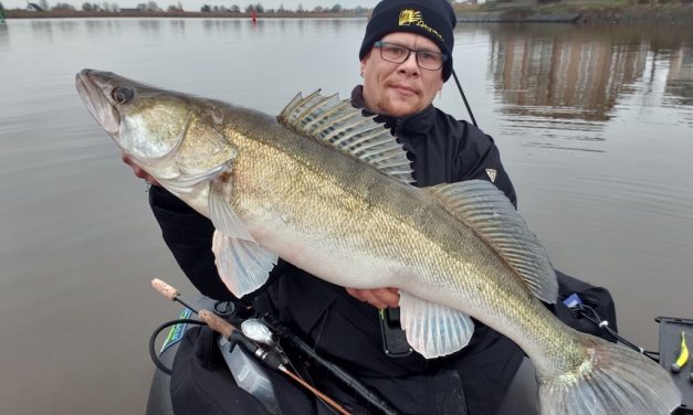 Zo vis je op XXL snoekbaars vanuit de bellyboat