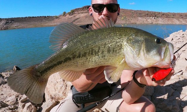 Blackbass vangen op Gran Canaria – Met kunstaas en sprinkhanen