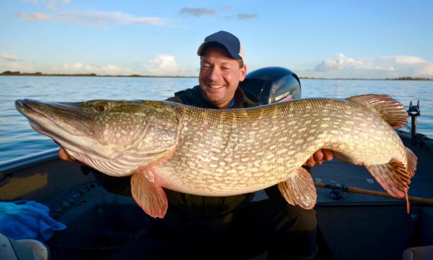 Jeremy Staverman en Jelle de Jong versterken het Abu Garcia/Berkley team!