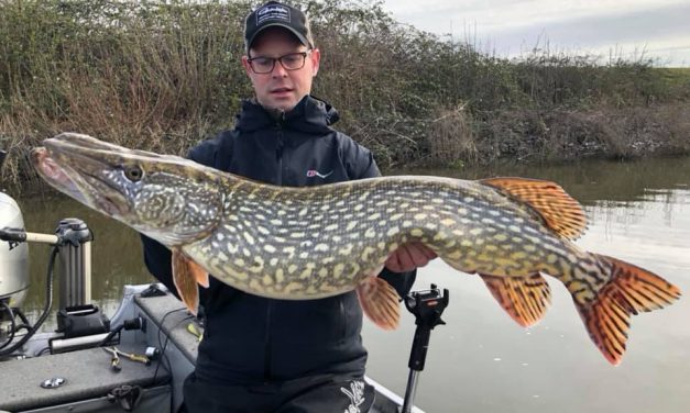 ROOFMEISTER INSIDE – De allermooiste snoeken & alles over de Predator Tour Sweden
