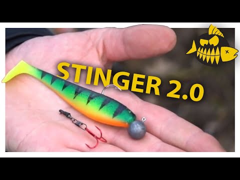 Stinger 2.0 met Camiel van Dijck – Raven Lelystad