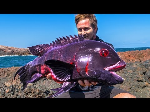 First person angler – Waanzinnige rovers
