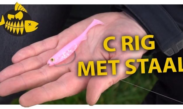 Finetunen van C-rig met Camiel van Dijck – Raven Lelystad