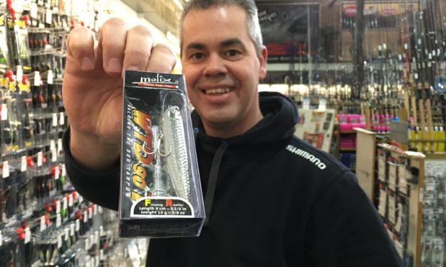 Nieuw bij Wout van Leeuwen – Van Sinking Slider tot ieniemie krabbetjes