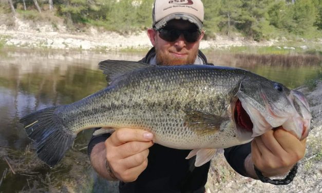 Alles over black bass – De visserij van A tot Z in Spanje