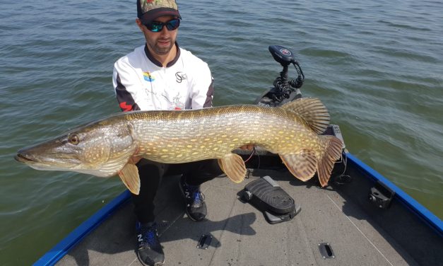 Interview – Dreamteam Hengeldiscount – Winnaars Predator Tour 2018