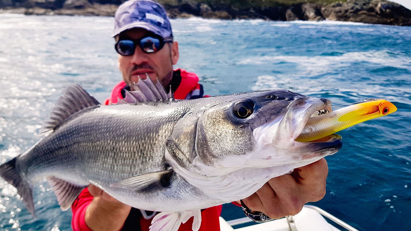 Rapala focust zich dit jaar op baars en zeebaars