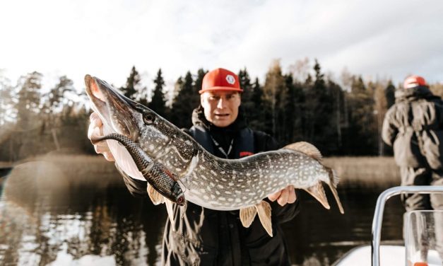 Rapala, wie is er niet groot mee geworden – Focus op Europa