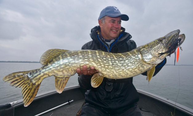 ROOFMEISTER TOP GEAR – Nieuwe spinnerbaits, fotograferende fishfinders & UV-kunstaas