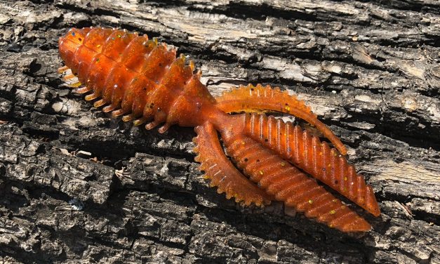 De nieuwste smaakmakers van KUNSTAASOUTLET – Deep Creek Lures