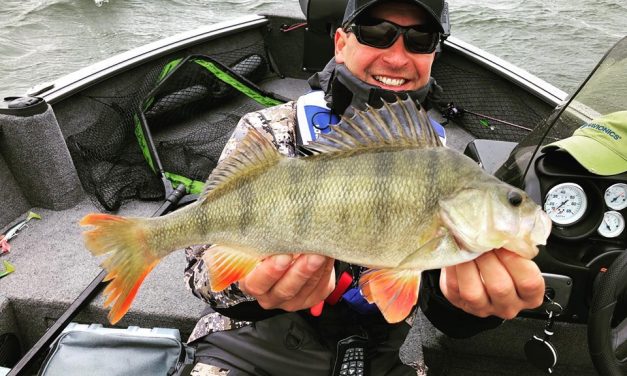 Finaledag Predator Tour – Update van de teams Abu Garcia en Berkley