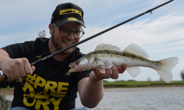 How To – Vissen op snoekbaars vanaf de kant