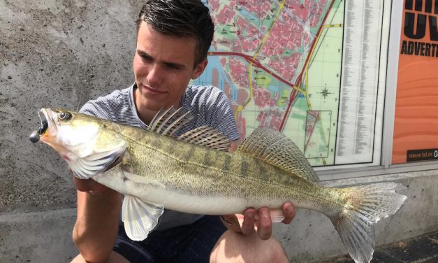 Snoekbaars stek vanaf de kant – Leve de waterbus