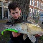 Tackle Meister Review – Sensu Jig’n Swim shad
