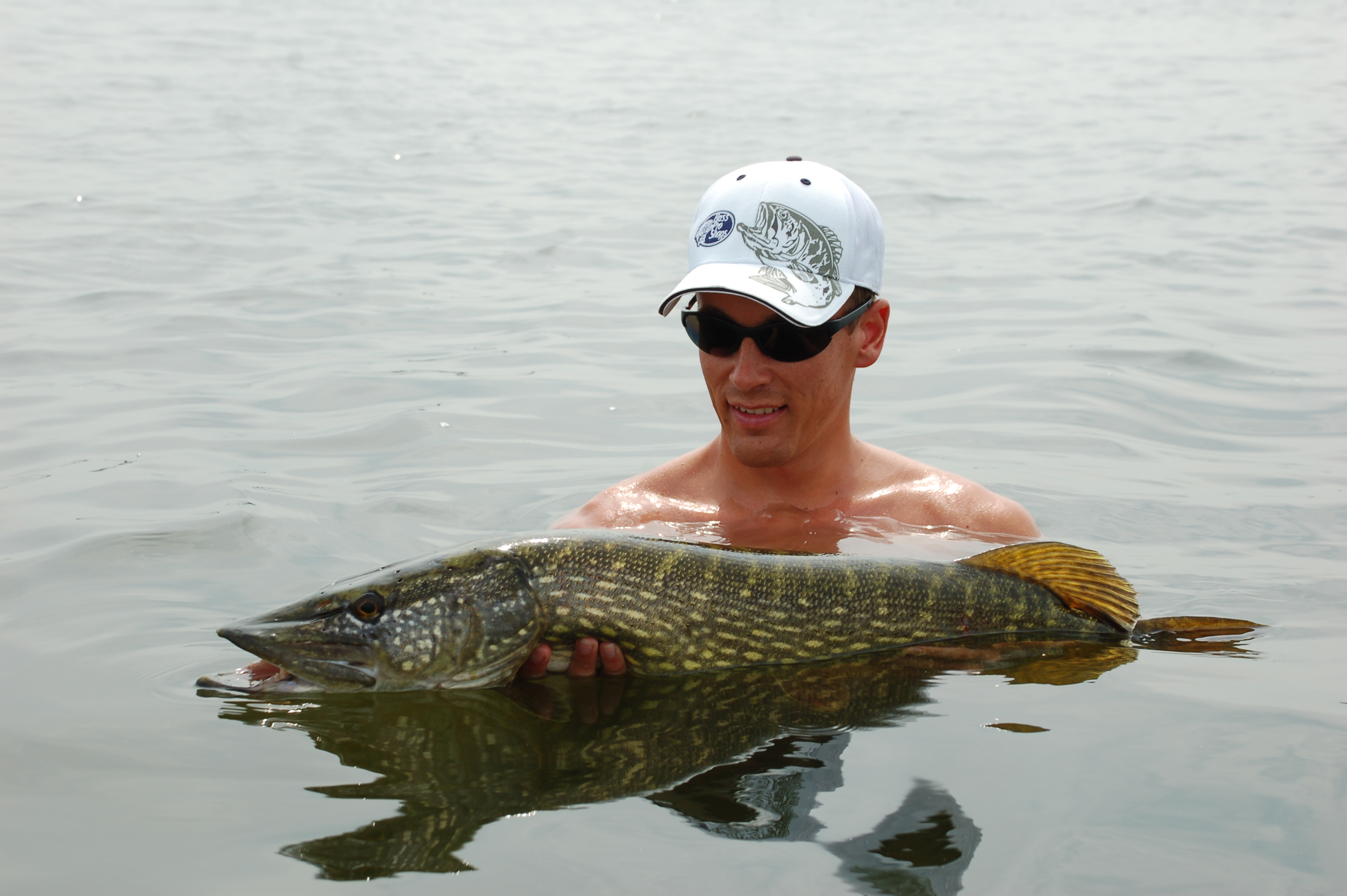 Warm water snoek – Experts over het vissen op snoek bij hoge temperaturen