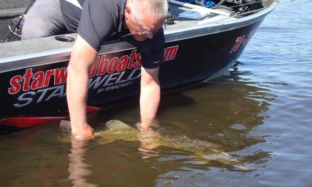 Zo vang je snoek in juni – Harken in het wier – Jouke Jansma