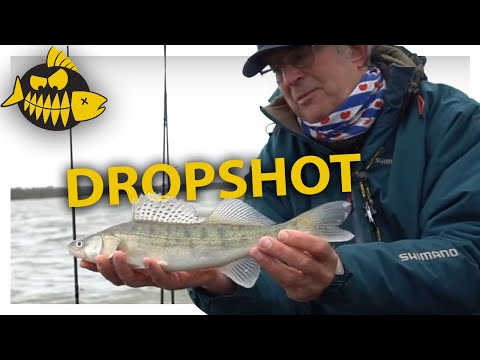 How to – Dropshot met Herman Schuurman