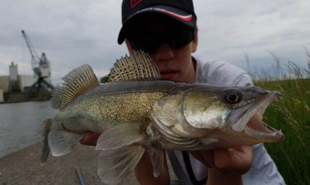Werpen met een shad – Streetfishing met Rick Simmerman