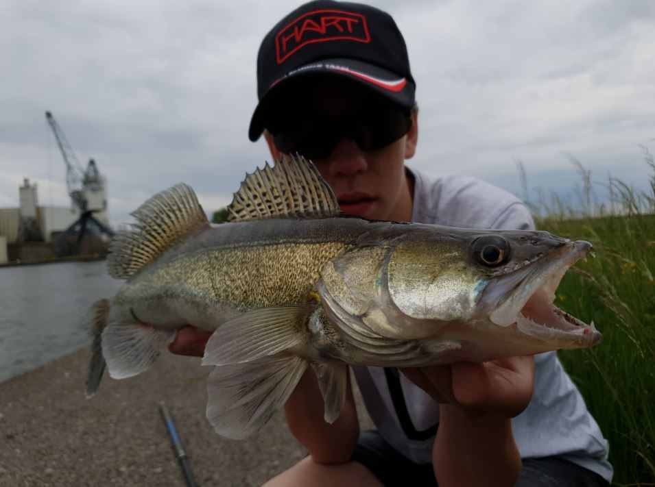 Werpen met een shad – Streetfishing met Rick Simmerman