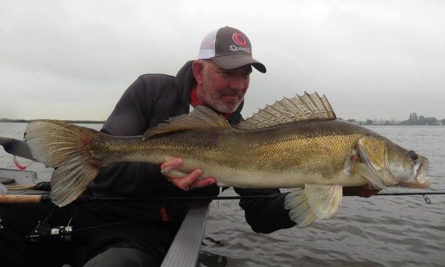5 top shads van snoekbaars expert Michael Stalenhoef