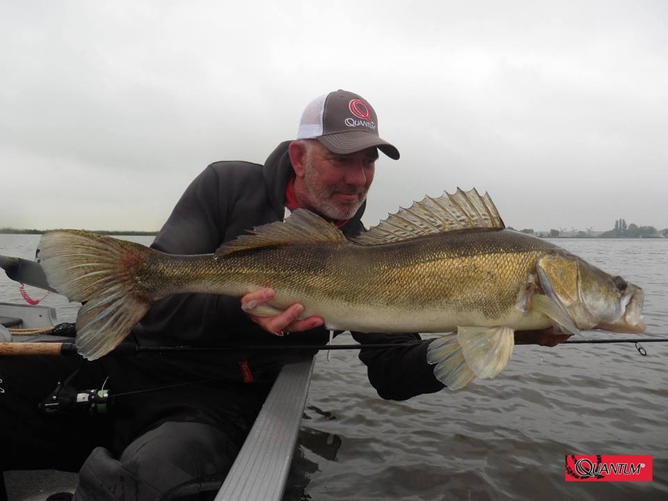 5 top shads van snoekbaars expert Michael Stalenhoef