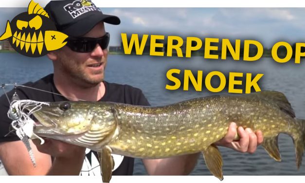 ***ROOFMEISTER VIDEO*** Werpend op snoek