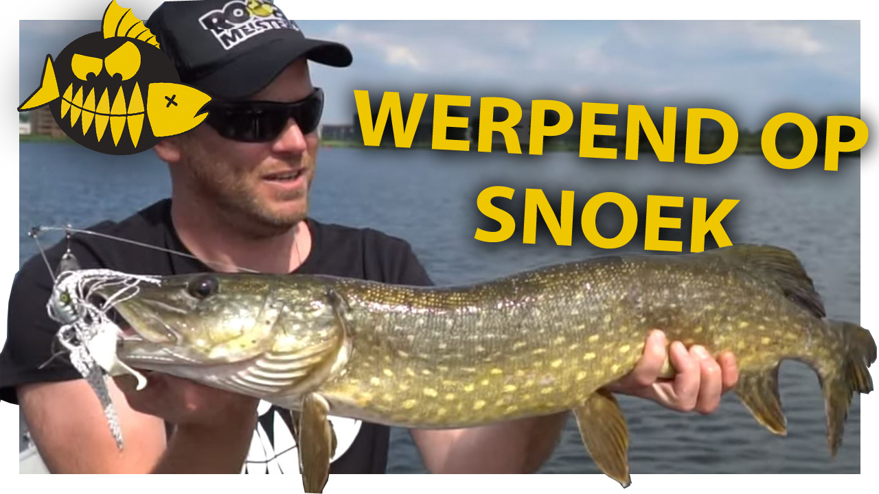 ***ROOFMEISTER VIDEO*** Werpend op snoek