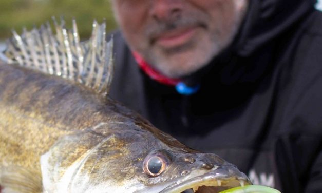 Strike shads, meervalmagneten en een runner up award winnende molen